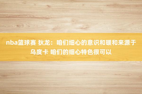 nba篮球赛 狄龙：咱们细心的意识和暖和来源于乌度卡 咱们的细心特色很可以