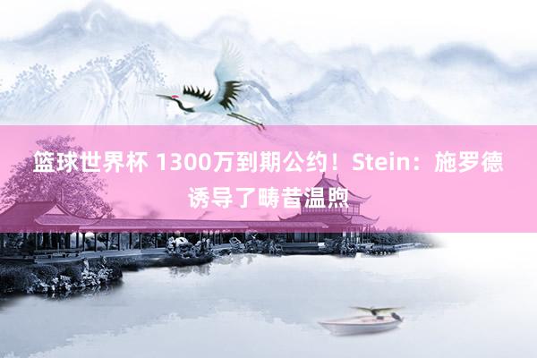 篮球世界杯 1300万到期公约！Stein：施罗德诱导了畴昔温煦