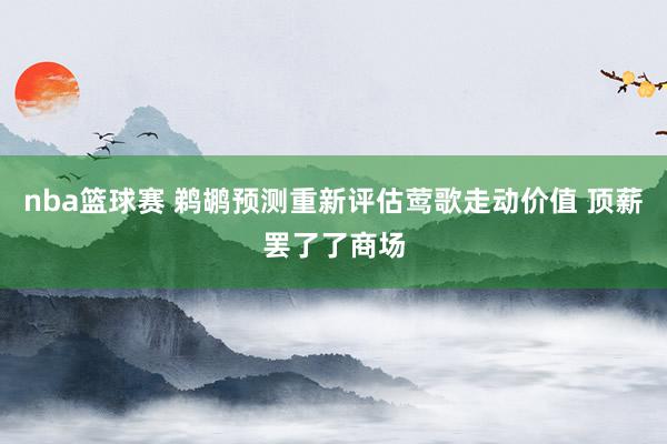 nba篮球赛 鹈鹕预测重新评估莺歌走动价值 顶薪罢了了商场