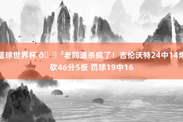 篮球世界杯 😲老同道杀疯了！吉伦沃特24中14爆砍46分5板 罚球19中16