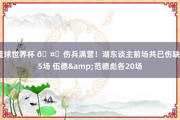 篮球世界杯 🤕伤兵满营！湖东谈主前场共已伤缺55场 伍德&范德彪各20场